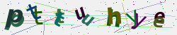 �������� �������� Captcha
