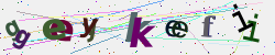 �������� �������� Captcha