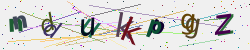 �������� �������� Captcha