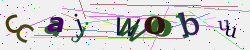 �������� �������� Captcha