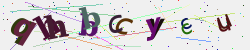 �������� �������� Captcha