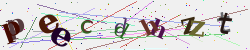 �������� �������� Captcha