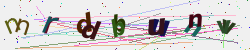 �������� �������� Captcha