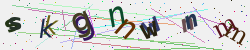 �������� �������� Captcha