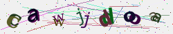 �������� �������� Captcha