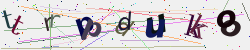 �������� �������� Captcha