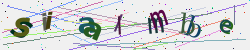 �������� �������� Captcha
