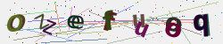 �������� �������� Captcha