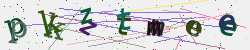 �������� �������� Captcha