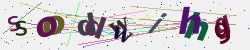 �������� �������� Captcha