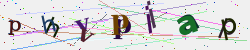 �������� �������� Captcha