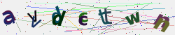 �������� �������� Captcha