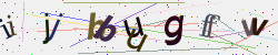 �������� �������� Captcha