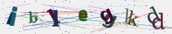 �������� �������� Captcha