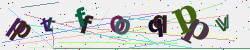 �������� �������� Captcha