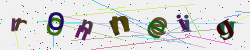 �������� �������� Captcha