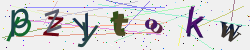 �������� �������� Captcha