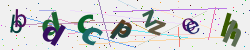 �������� �������� Captcha