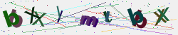 �������� �������� Captcha