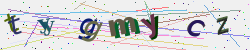 �������� �������� Captcha