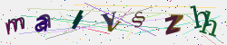 �������� �������� Captcha