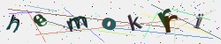 �������� �������� Captcha