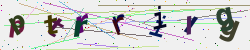 �������� �������� Captcha