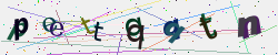 �������� �������� Captcha